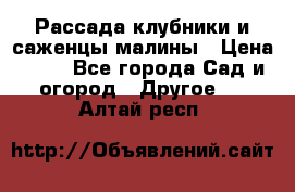 Рассада клубники и саженцы малины › Цена ­ 10 - Все города Сад и огород » Другое   . Алтай респ.